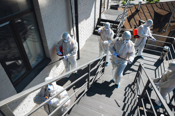 Professional Mold Removal in Mentone, IN