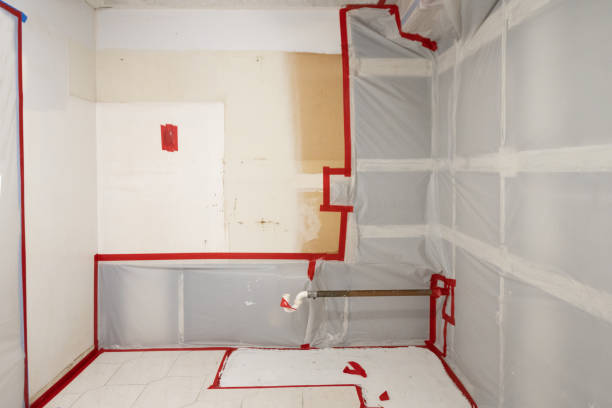 Best Basement Mold Removal  in Mentone, IN