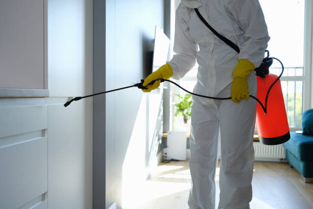 Best Attic Mold Removal  in Mentone, IN