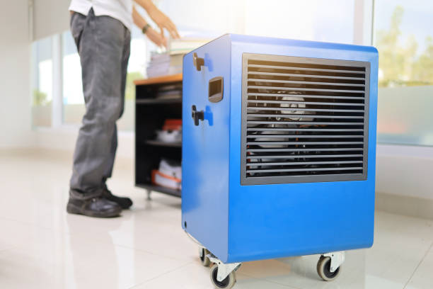 Best Mold Odor Removal Services  in Mentone, IN