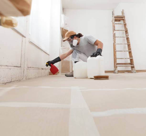 Biohazard Mold Removal in Mentone, IN