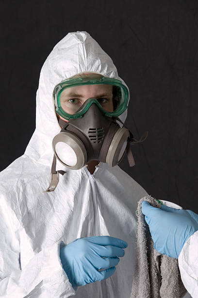 Best Emergency Mold Remediation  in Mentone, IN